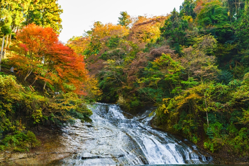 養老渓谷温泉